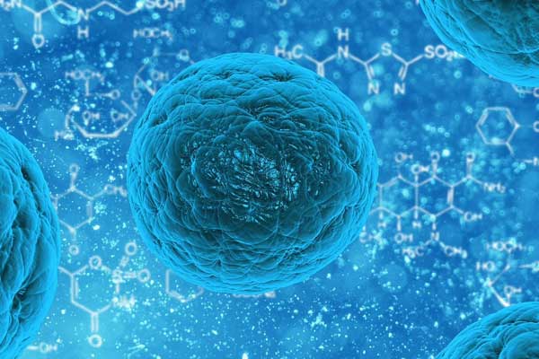 Nuova ricerca cellule staminali cancro - culturagiapponese